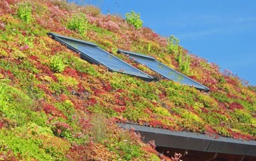 Glen Heysdal living roof systems